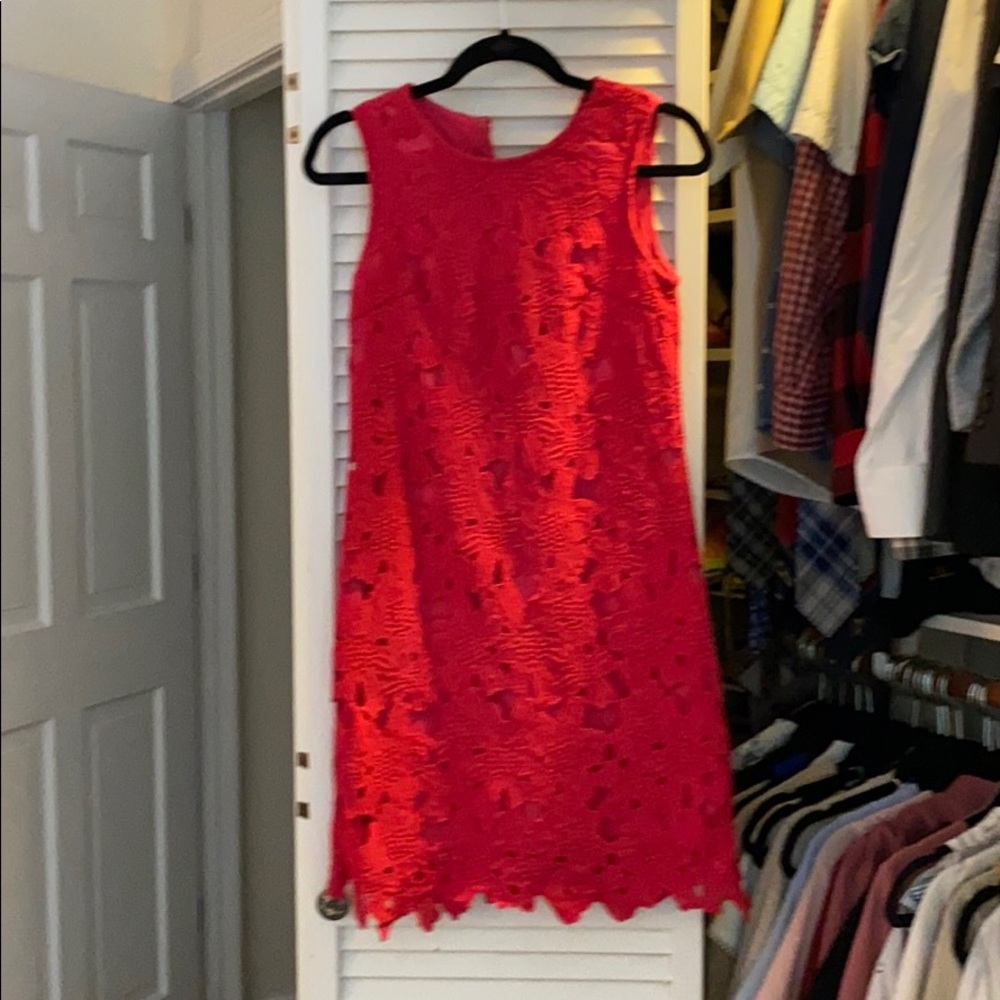 Francescas Hot Pink Lined Shit Lace Dress